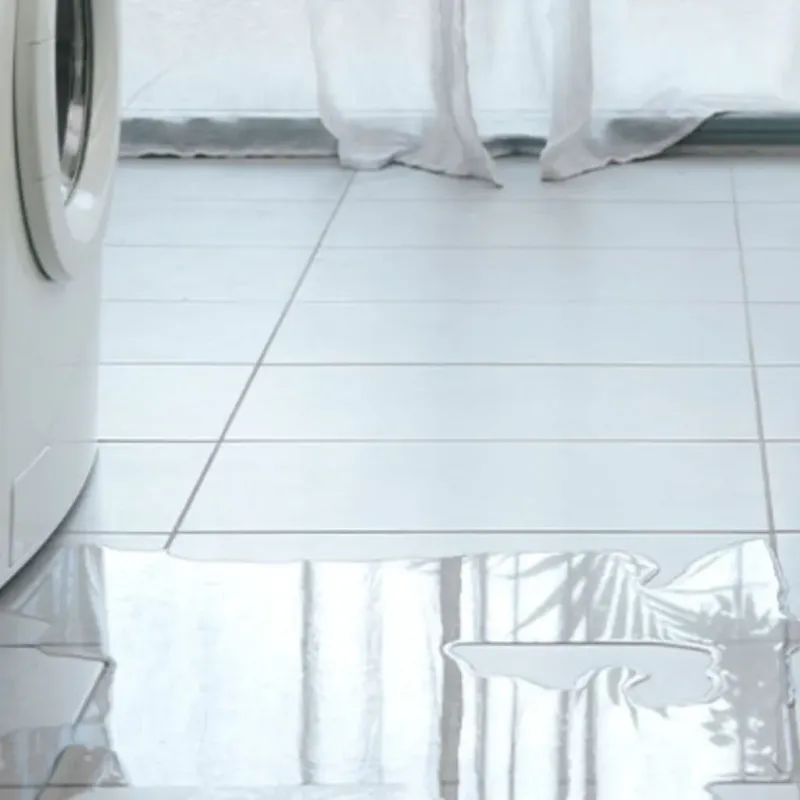 Appliance Leak Cleanup in Meadow Glade, WA