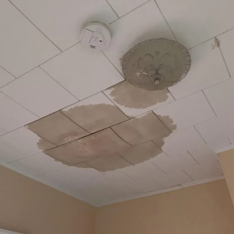 Ceiling Water Damage Repair in Meadow Glade, WA