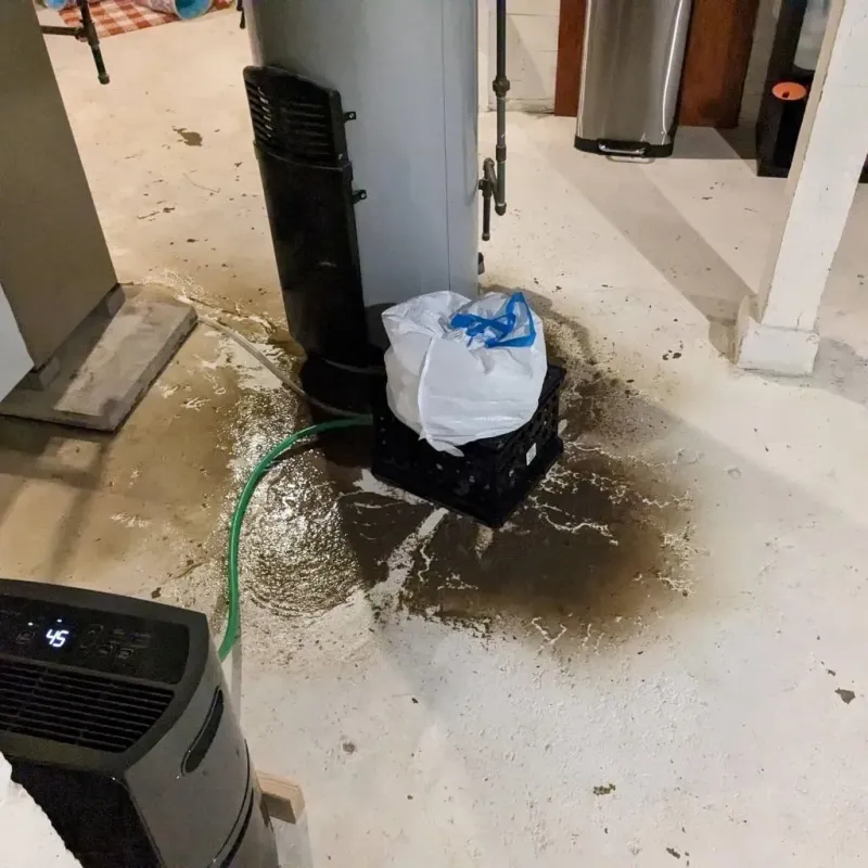 Sewage Backup Cleanup Service in Meadow Glade, WA